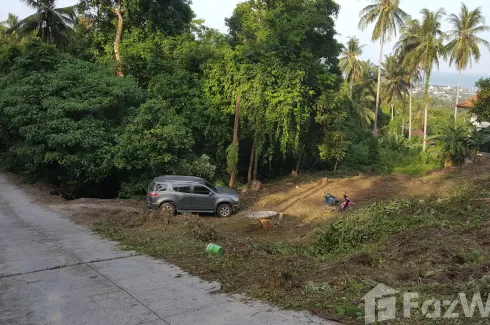 Land for sale in Bo Phut, Surat Thani