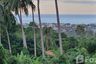 Land for sale in Bo Phut, Surat Thani