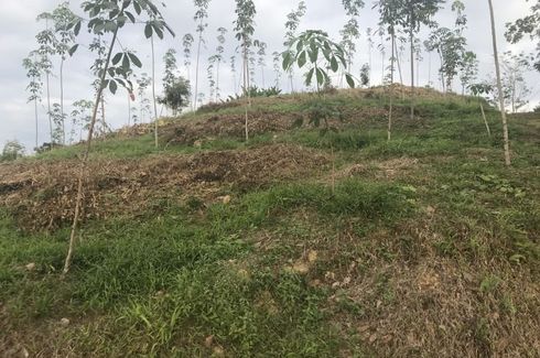 Land for sale in Tha Yu, Phang Nga