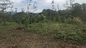 Land for sale in Tha Yu, Phang Nga