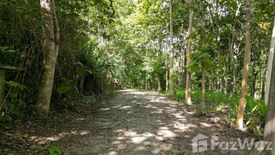 Land for sale in Mae Sa, Chiang Mai