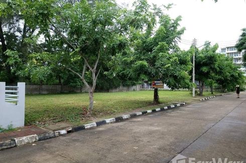 Land for sale in Cha am, Phetchaburi