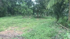 Land for sale in Khok Kloi, Phang Nga