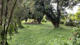 Land for sale in Chang Phueak, Chiang Mai