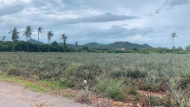 Land for sale in Wang Phong, Prachuap Khiri Khan