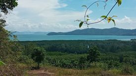 Land for sale in Thep Krasatti, Phuket