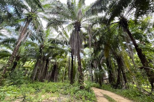 Land for sale in Lo Yung, Phang Nga