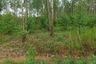 Land for sale in Khok Sung, Chaiyaphum