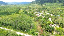 Land for sale in Bang Muang, Phang Nga