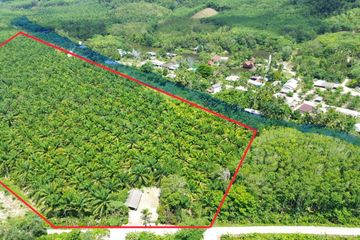 Land for sale in Bang Muang, Phang Nga