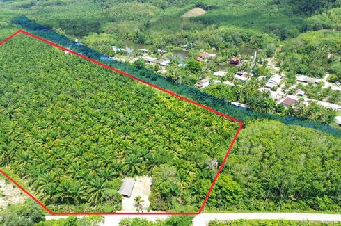 Land for sale in Bang Muang, Phang Nga