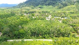 Land for sale in Bang Muang, Phang Nga