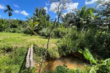 Land for sale in Lo Yung, Phang Nga