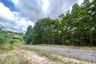 Land for sale in Thung Maphrao, Phang Nga