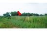 Land for sale in Phai Hu Chang, Nakhon Pathom