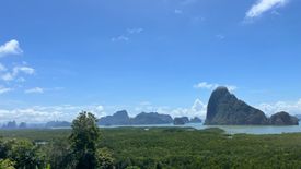 Land for sale in Khlong Khian, Phang Nga