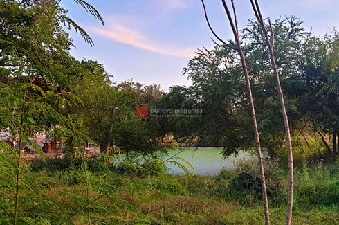 Land for sale in Huai Yai, Chonburi