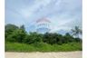 Land for sale in Klai, Nakhon Si Thammarat