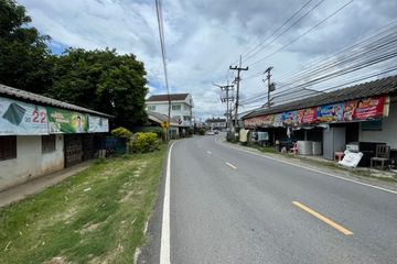 Land for sale in San Phak Wan, Chiang Mai
