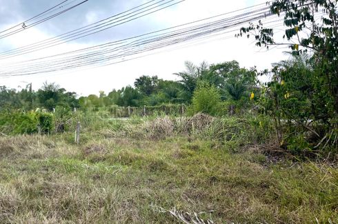 Land for sale in Tha Yu, Phang Nga