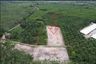 Land for sale in Na Reng, Nakhon Si Thammarat
