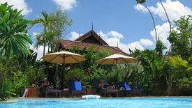 11 Bedroom Hotel / Resort for sale in Tha Sala, Chiang Mai