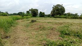 Land for sale in Han Kaeo, Chiang Mai