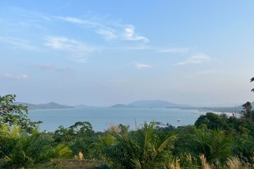 Land for sale in Lo Yung, Phang Nga