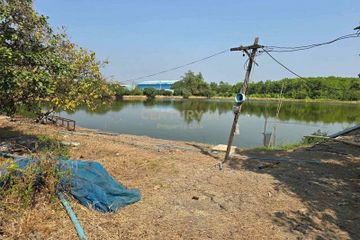 Land for sale in Ban Ko, Samut Sakhon