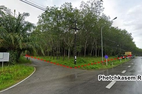 Land for sale in Thung Maphrao, Phang Nga