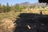 Land for sale in Thung Yao, Mae Hong Son