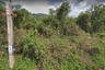 Land for sale in Ang Thong, Surat Thani