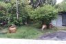 Land for sale in Khlong Dan, Samut Prakan