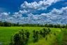 Land for sale in Muang Sam Sip, Ubon Ratchathani