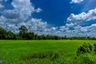 Land for sale in Muang Sam Sip, Ubon Ratchathani