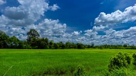 Land for sale in Muang Sam Sip, Ubon Ratchathani