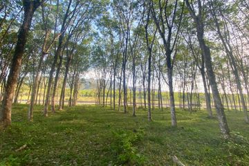 Land for sale in Choeng Thale, Phuket