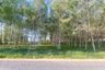 Land for sale in Choeng Thale, Phuket