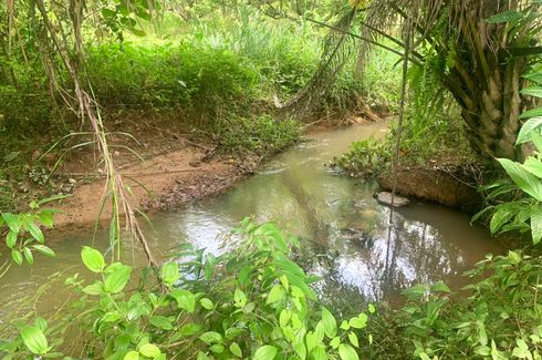 Land for sale in Lo Yung, Phang Nga