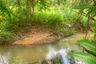 Land for sale in Lo Yung, Phang Nga