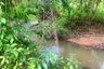Land for sale in Lo Yung, Phang Nga
