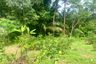 Land for sale in Lo Yung, Phang Nga