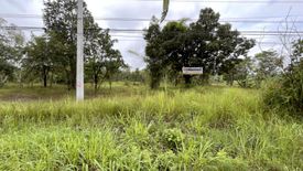 Land for sale in Mueang Chi, Lamphun