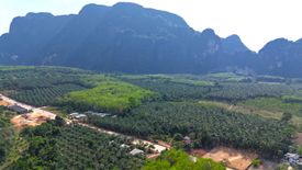 Land for sale in Khao Khram, Krabi