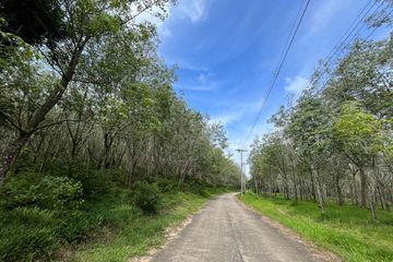 Land for sale in Khok Kloi, Phang Nga