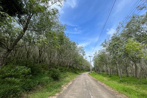 Land for sale in Khok Kloi, Phang Nga