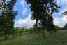 Land for sale in Mae Chedi, Chiang Rai