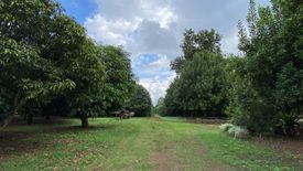 Land for sale in Mae Chedi, Chiang Rai