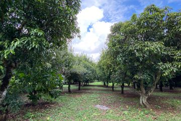 Land for sale in Mae Chedi, Chiang Rai