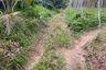 Land for sale in Thai Mueang, Phang Nga